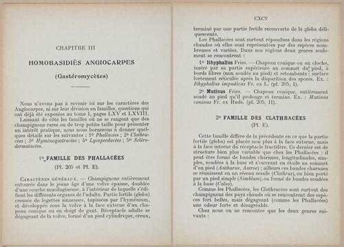 E409 - Les Champignons - i19362-19363
