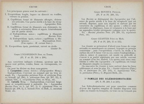 E409 - Les Champignons - i19366-19367