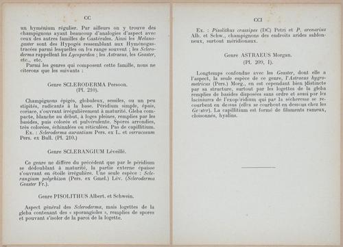 E409 - Les Champignons - i19368-19369