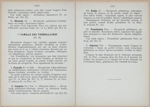 E409 - Les Champignons - i19372-19373