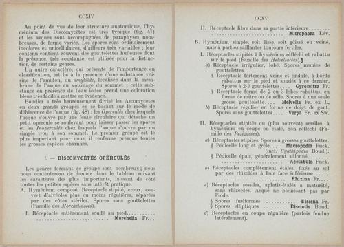 E409 - Les Champignons - i19382-19383