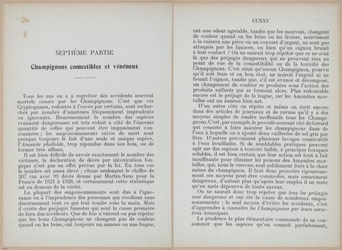 E409 - Les Champignons - i19392-19393