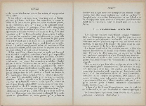 E409 - Les Champignons - i19394-19395