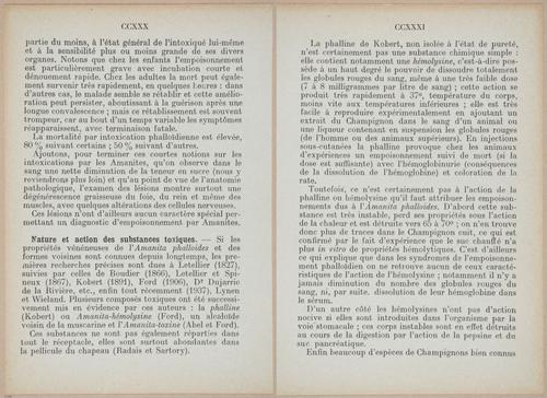 E409 - Les Champignons - i19398-19399