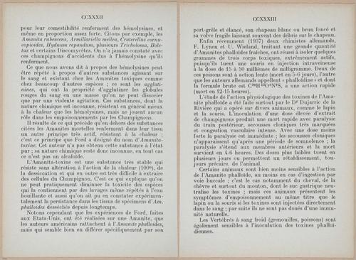 E409 - Les Champignons - i19400-19401