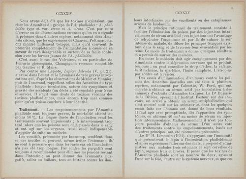 E409 - Les Champignons - i19402-19403
