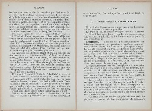 E409 - Les Champignons - i19404-19405
