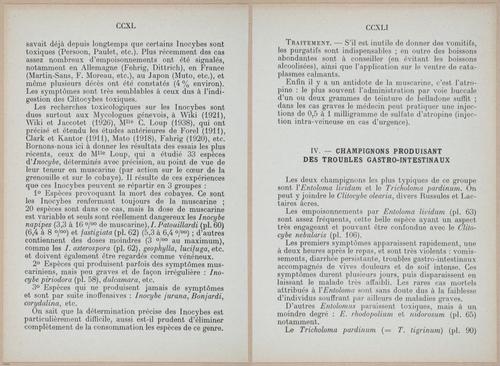 E409 - Les Champignons - i19408-19409