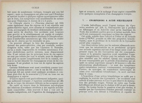 E409 - Les Champignons - i19410-19411