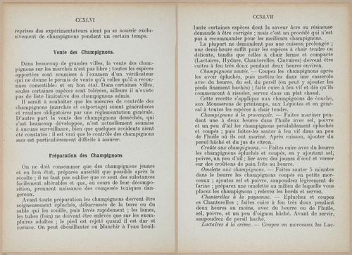 E409 - Les Champignons - i19414-19415