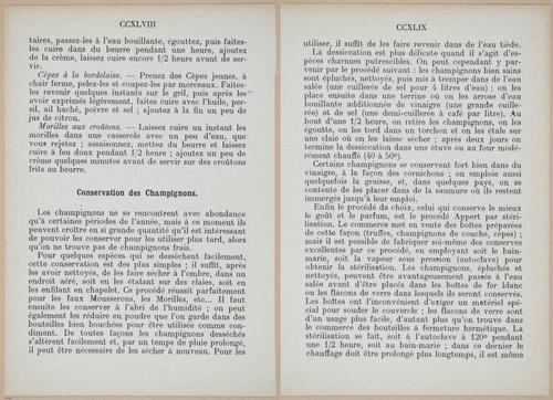 E409 - Les Champignons - i19416-19417