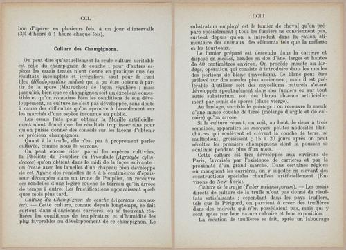 E409 - Les Champignons - i19418-19419