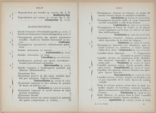 E409 - Les Champignons - i19422-19423