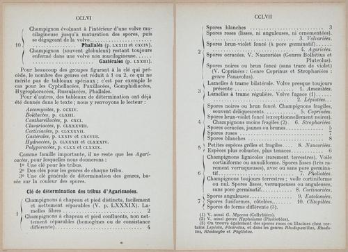 E409 - Les Champignons - i19424-19425