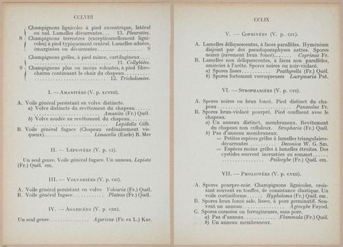 E409 - Les Champignons - i19426-19427