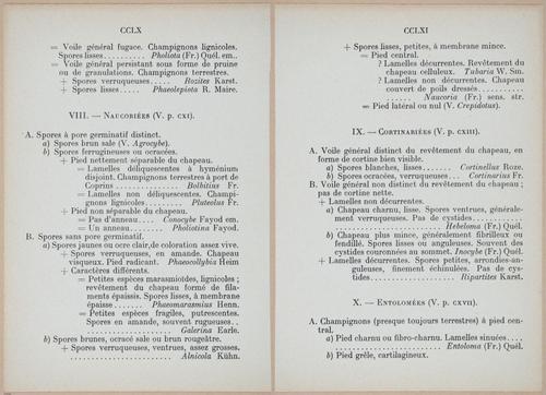 E409 - Les Champignons - i19428-19429