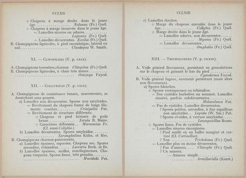 E409 - Les Champignons - i19430-19431