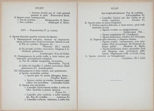 E409 - Les Champignons - i19432-19433