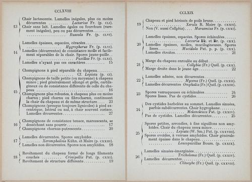 E409 - Les Champignons - i19436-19437