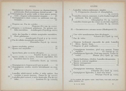 E409 - Les Champignons - i19438-19439