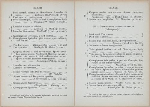 E409 - Les Champignons - i19440-19441