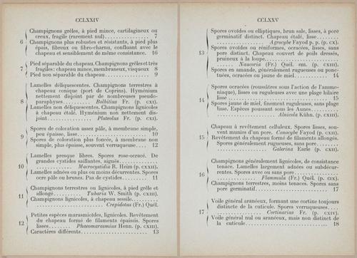 E409 - Les Champignons - i19442-19443