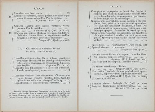 E409 - Les Champignons - i19444-19445