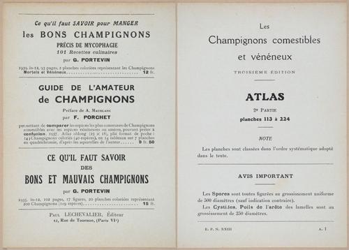 E409 - Les Champignons - i19446-19447