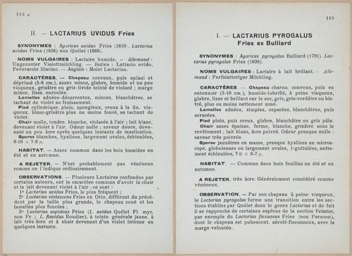 E409 - Les Champignons - i19460-19461