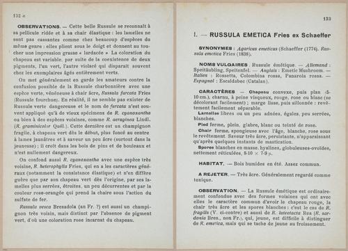 E409 - Les Champignons - i19490-19491