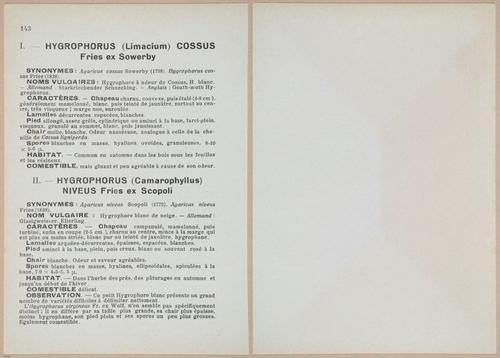 E409 - Les Champignons - i19512