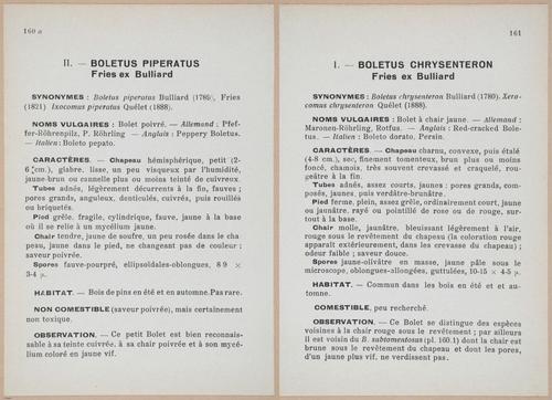 E409 - Les Champignons - i19548-19549
