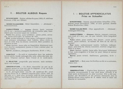E409 - Les Champignons - i19578-19579