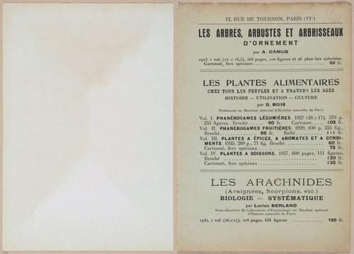 E409 - Les Champignons - i19613