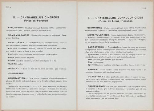 E409 - Les Champignons - i19640-19641