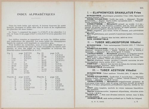 E409 - Les Champignons - i19688-19689