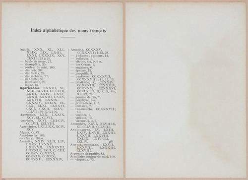 E409 - Les Champignons - i19690