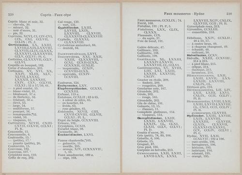 E409 - Les Champignons - i19694-19695