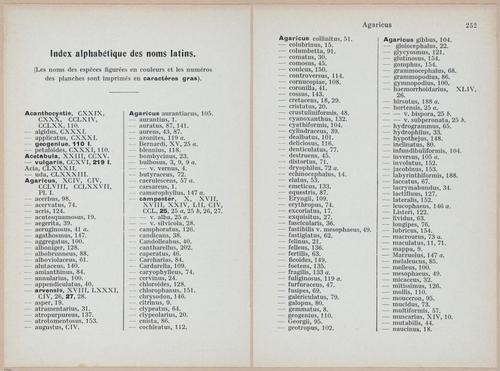 E409 - Les Champignons - i19716-19718