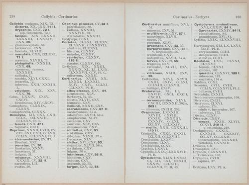 E409 - Les Champignons - i19725-19726