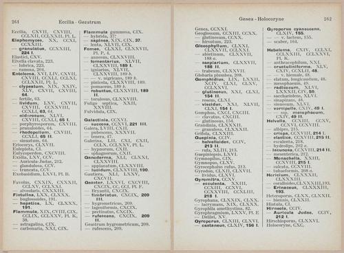 E409 - Les Champignons - i19727-19728