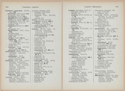 E409 - Les Champignons - i19733-19734