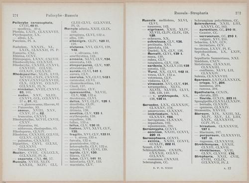 E409 - Les Champignons - i19739-19740