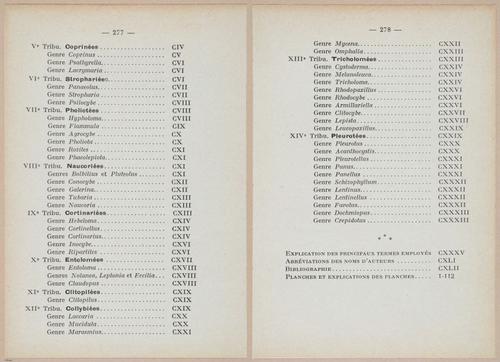 E409 - Les Champignons - i19746-19747