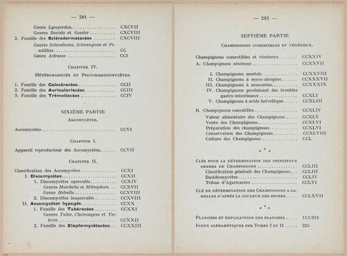 E409 - Les Champignons - i19750-19751