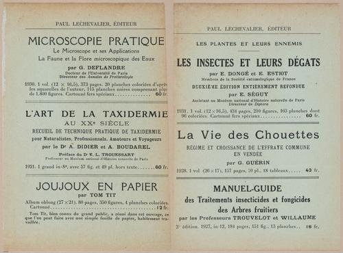 E409 - Les Champignons - i19757-19758