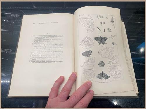 E377 - Report of the Secretary of the Interior - Vol III - 1889 - 3793