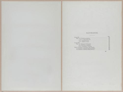E377 - Report of the Secretary of the Interior - Vol III - 1889 - 18682