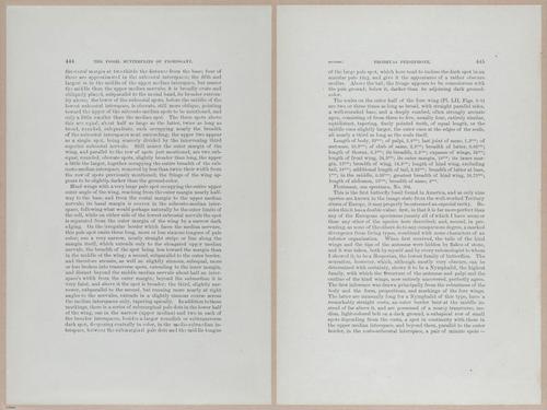 E377 - Report of the Secretary of the Interior - Vol III - 1889 - 18688-18689
