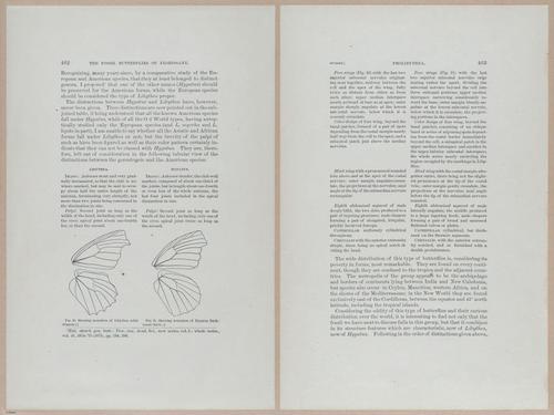 E377 - Report of the Secretary of the Interior - Vol III - 1889 - 18706-18707